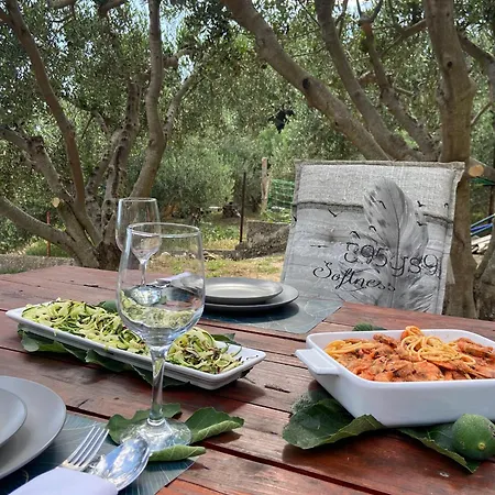 Olive Garden Retreat Апартаменти *